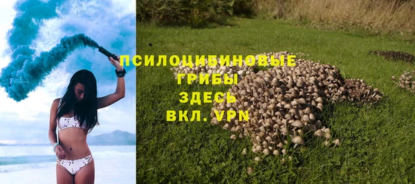 ПСИЛОЦИБИНОВЫЕ ГРИБЫ Балахна