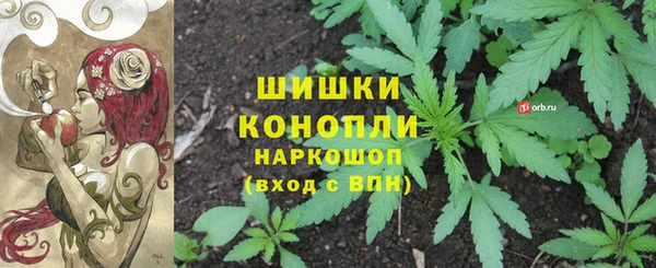 ПСИЛОЦИБИНОВЫЕ ГРИБЫ Балахна