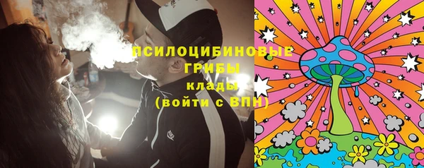 ПСИЛОЦИБИНОВЫЕ ГРИБЫ Балахна