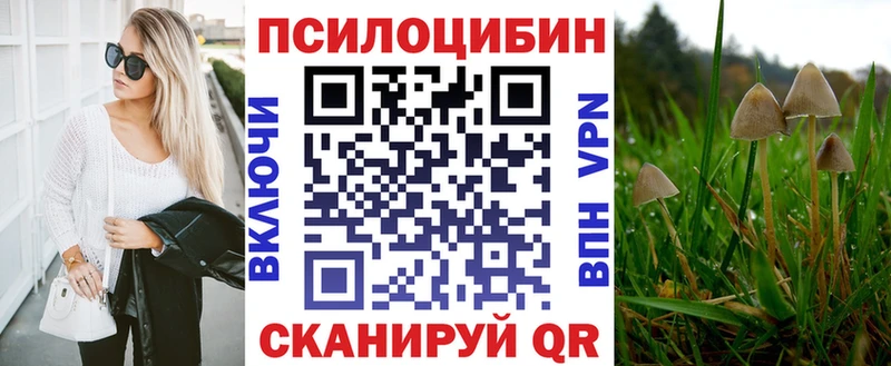 Псилоцибиновые грибы MAGIC MUSHROOMS  купить наркотик  OMG зеркало  Сланцы 
